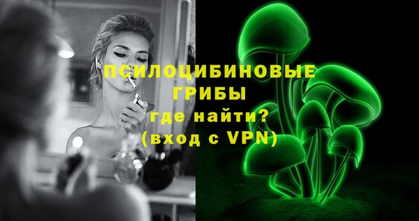 крисы Аркадак