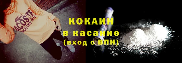 стафф Арсеньев