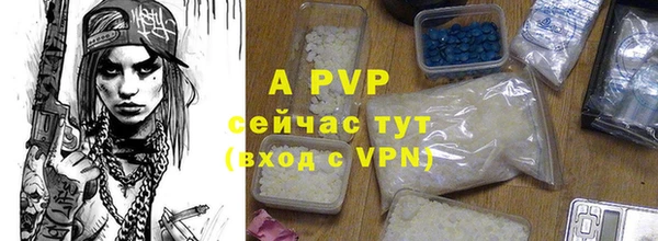 крисы Аркадак