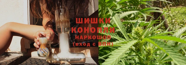 крисы Аркадак
