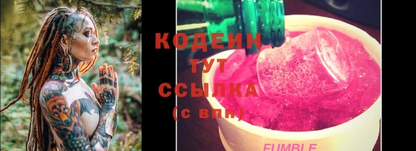 крисы Аркадак