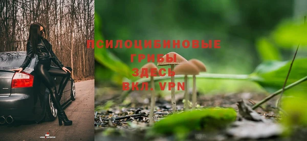 стафф Арсеньев
