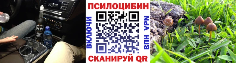 Псилоцибиновые грибы мицелий  Пошехонье 